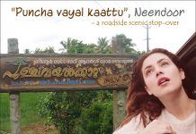 “Punchavayalkkaattu” Roadside Scenic Stop-over Punchavayalkaattu