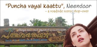 “Punchavayalkkaattu” Roadside Scenic Stop-over Punchavayalkaattu