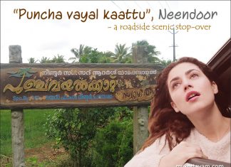 “Punchavayalkkaattu” Roadside Scenic Stop-over Punchavayalkaattu