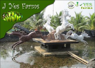 J Yes Farms @ Neendoor: Say Yes to the Good Green Life! J Yes Farms