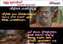 Malayalam Trolls – The Fishy Cat! Malayalam Trolls