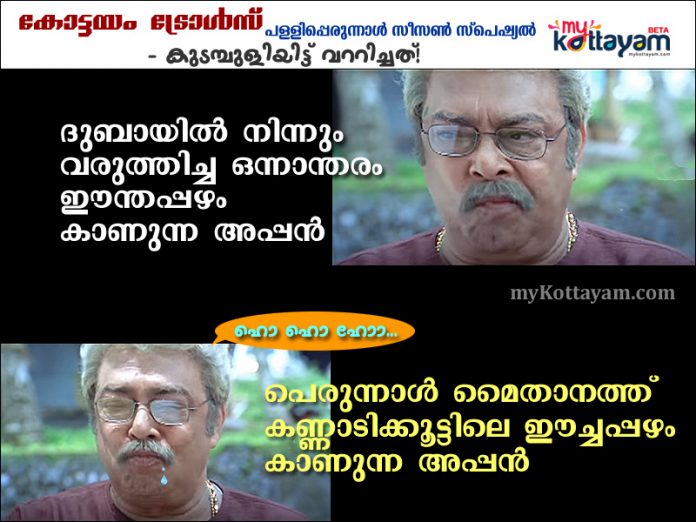 Kottayam Trolls: Perunnal Season Special