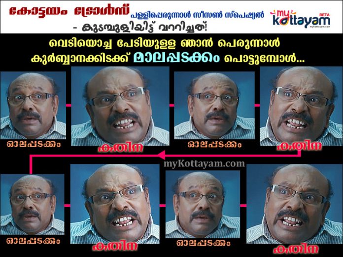 Malayalam Trolls: Perunnal Season Special